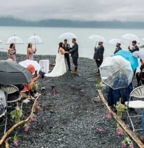 d376a781-2342-4802-b2ff-1f2db00e6fa7